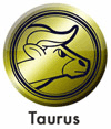 Taurus Icon
