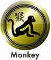 Monkey Icon