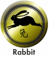 Rabbit Icon